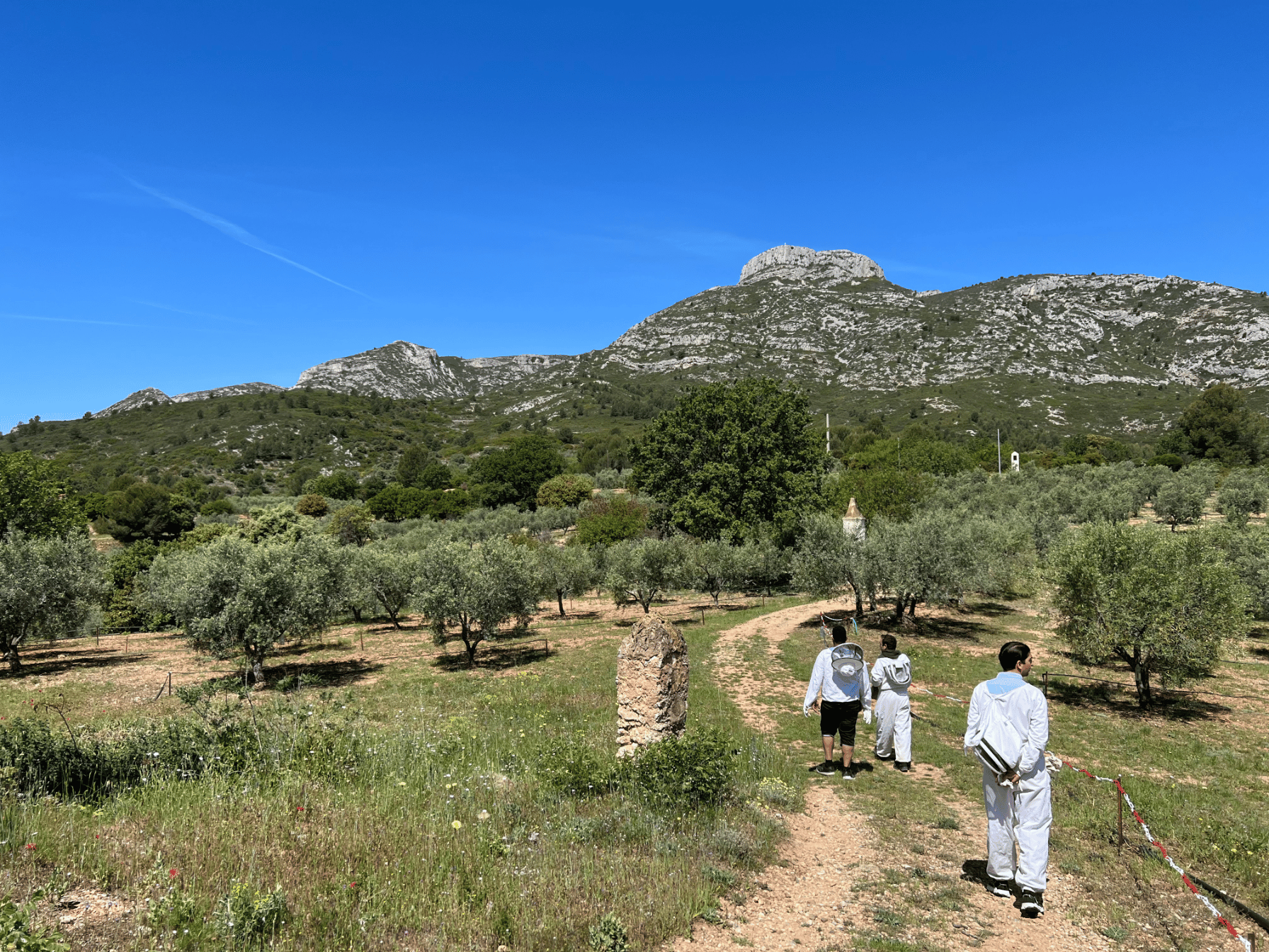 circuits vivement provence UNE